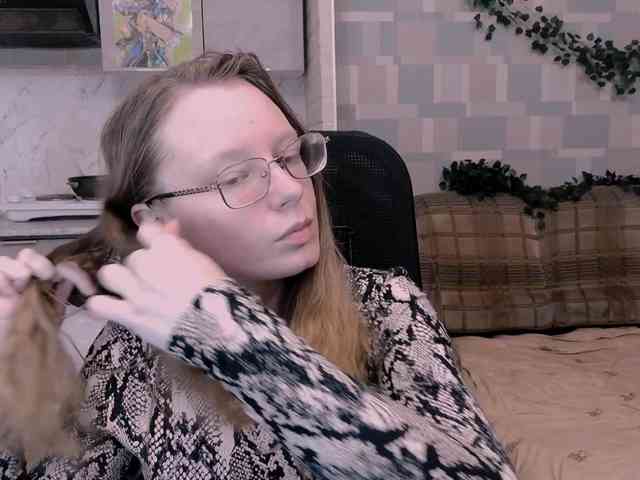 Meowcr webcam