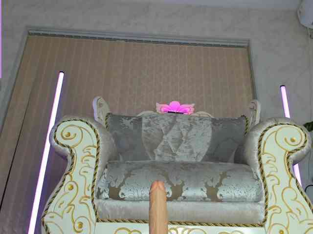 Dialine webcam