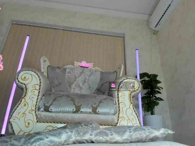 Dialine webcam