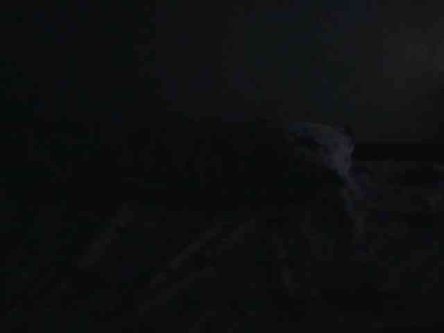Queenmama webcam