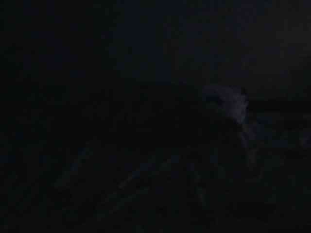 Queenmama webcam