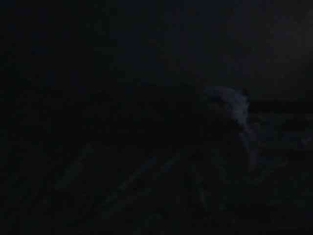 Queenmama webcam