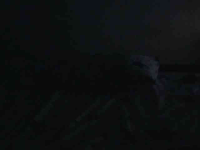 Queenmama webcam