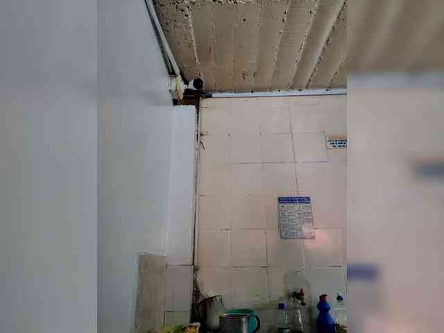 Penelopethom webcam