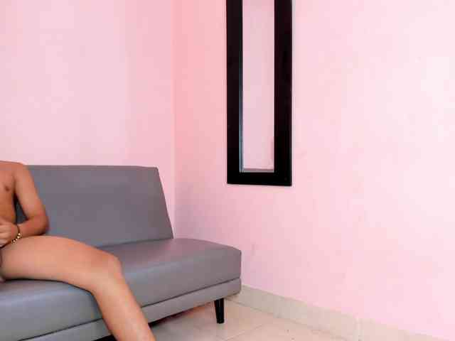 rasterpartypro webcam