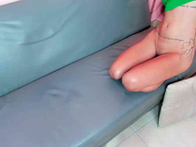 rasterpartypro webcam