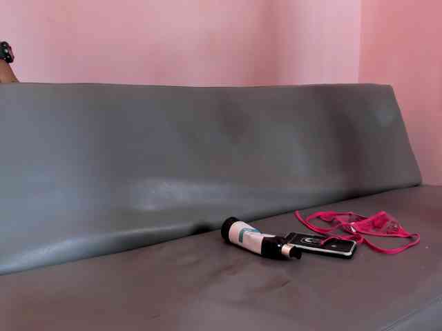 rasterpartypro webcam