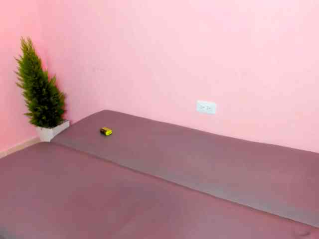 rasterpartypro webcam