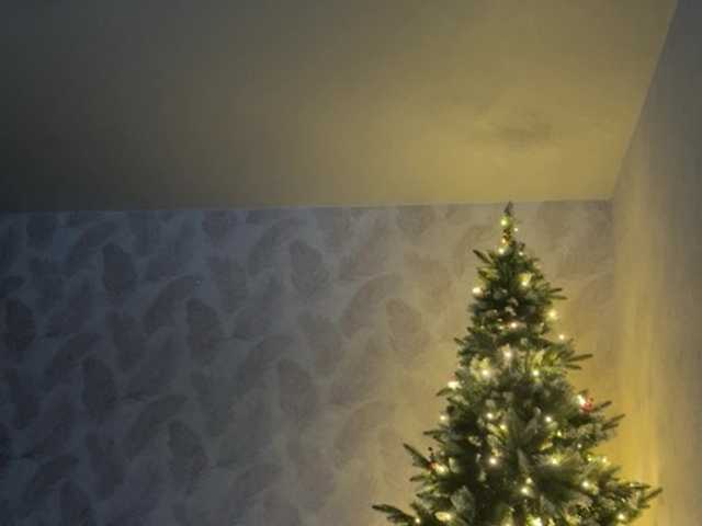 TopNonstopsss Live Cam on BongaCams and RICams