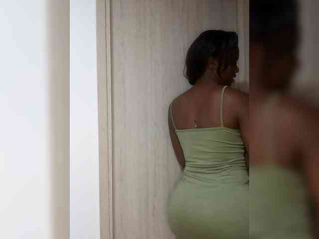 pamela8 webcam