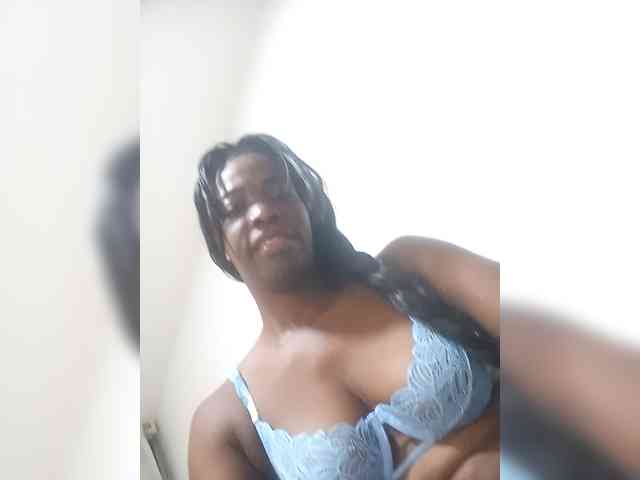 pamela8 webcam