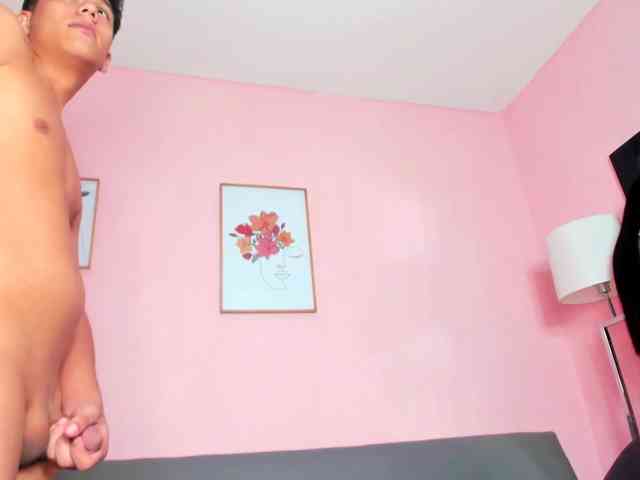 threepartyg webcam