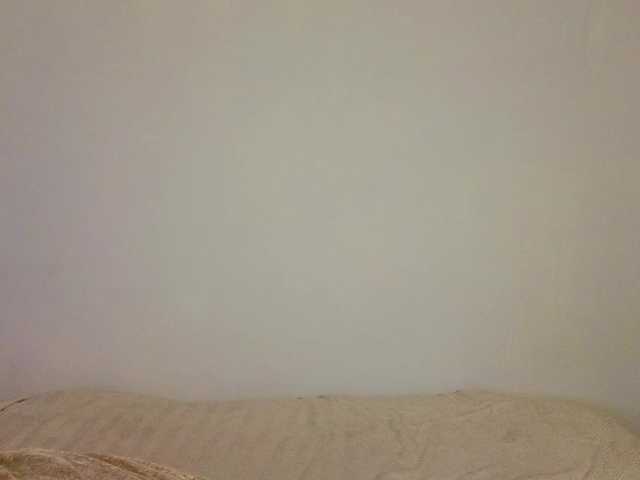 Lasey's BongaCams show and profile