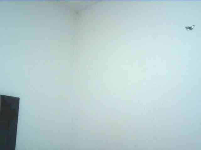 lionessmom webcam