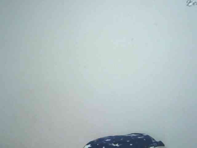 lionessmom webcam