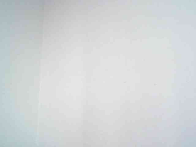 lionessmom webcam