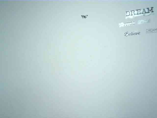 lionessmom webcam