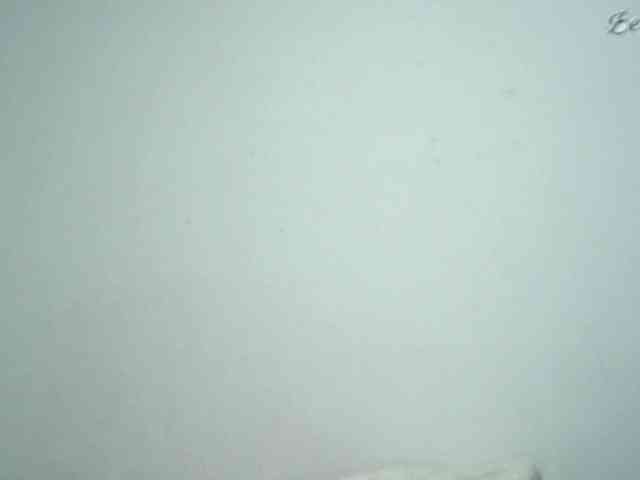 lionessmom webcam