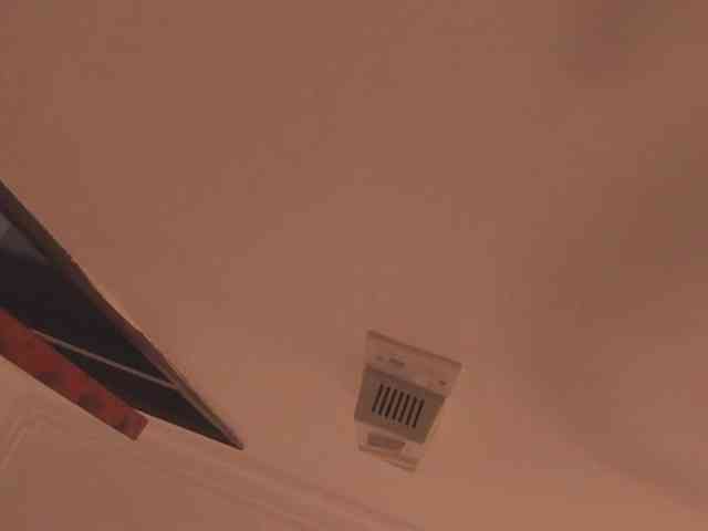 jasminmelonsa jasminmelonsa