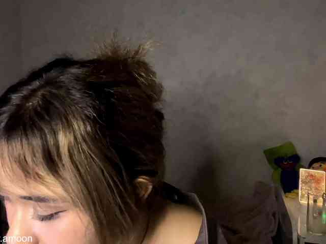 NaraMoon webcam
