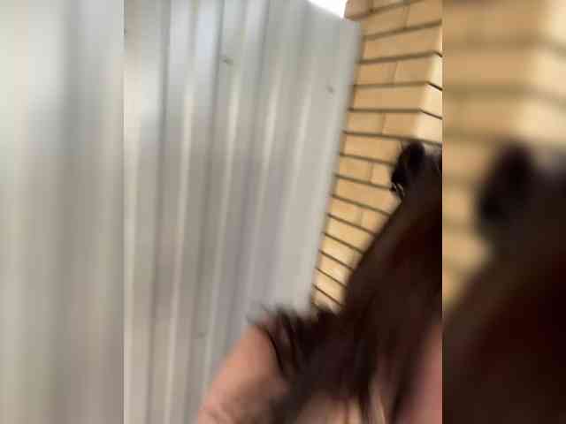 CurvyWoman- Live Webcam on BongaCams