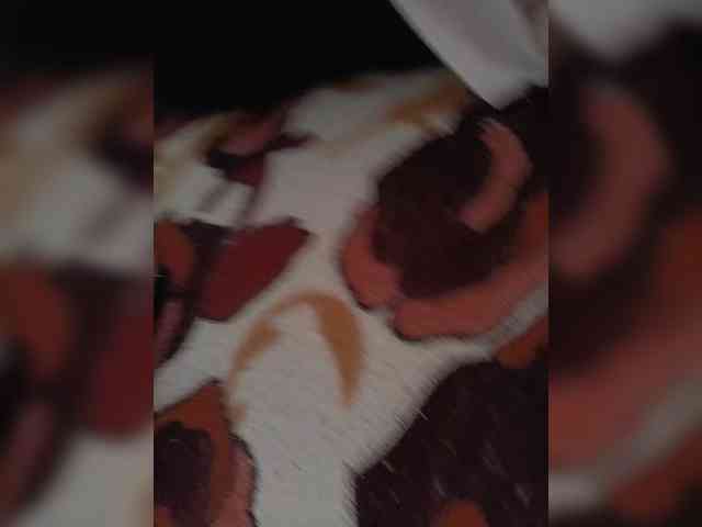 Milena-0 webcam
