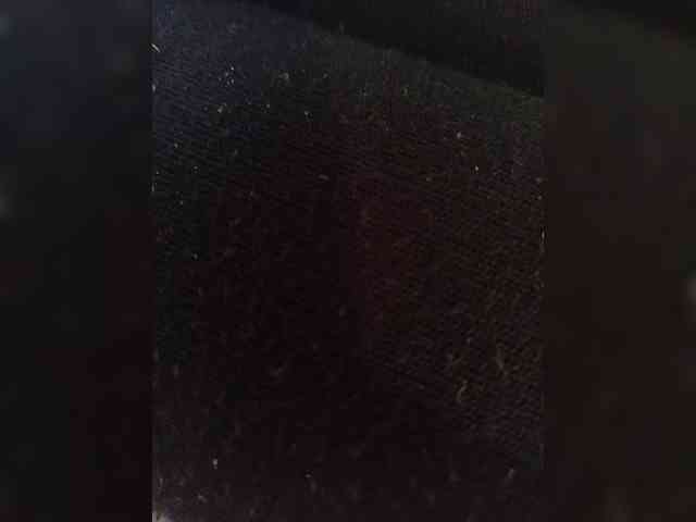 Milena-0 webcam