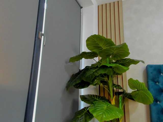 AsshleySing's BongaCams show and profile