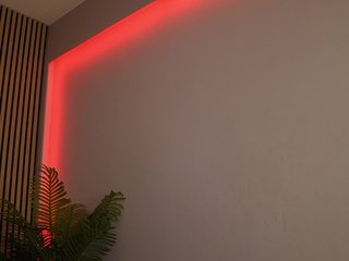 sisi-von-dee Porn Show