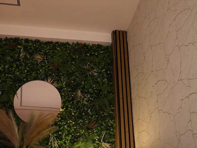 sisi-von-dee's BongaCams show and profile