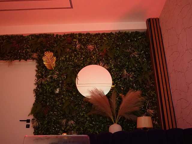 sisi-von-dee's BongaCams show and profile