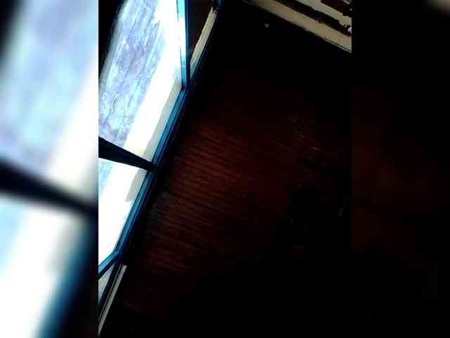 Petitehotchicks webcam