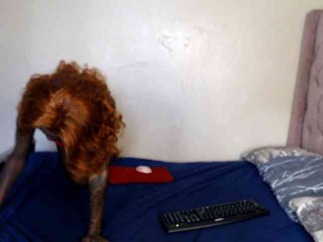 Jade- Live Webcam on BongaCams