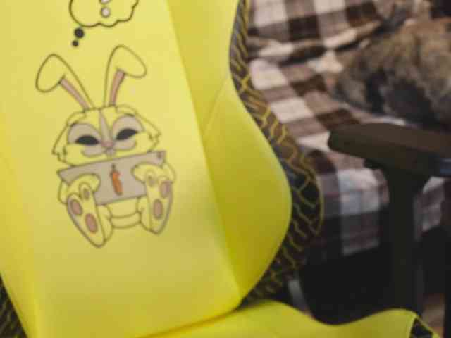 _Sunshine_girls webcam