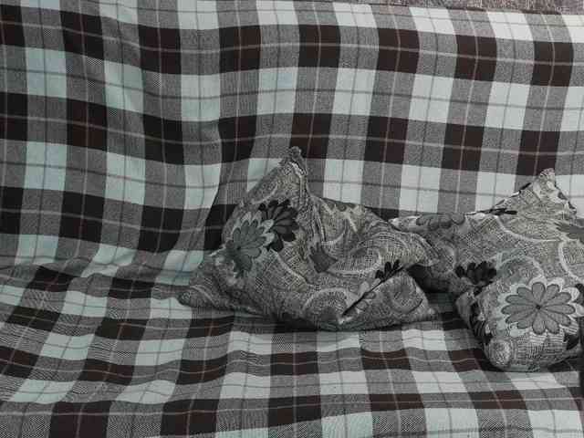 _Sunshine_girls_ webcam