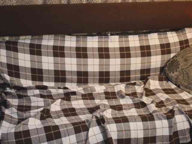 _Sunshine_girls webcam