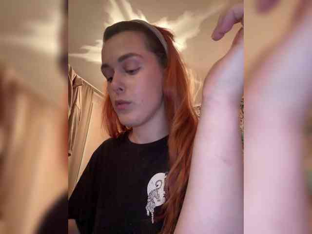 Veks webcam