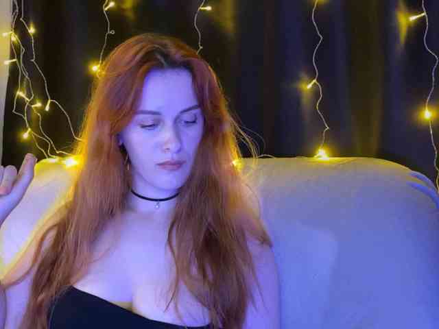 Veks webcam