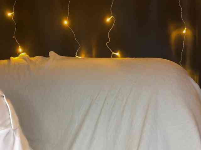 Veks webcam