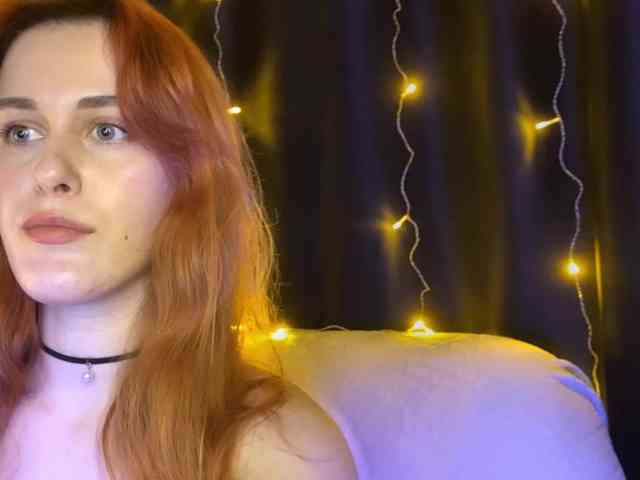 Veks webcam