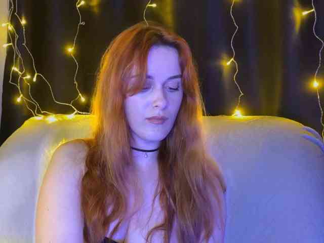Veks webcam