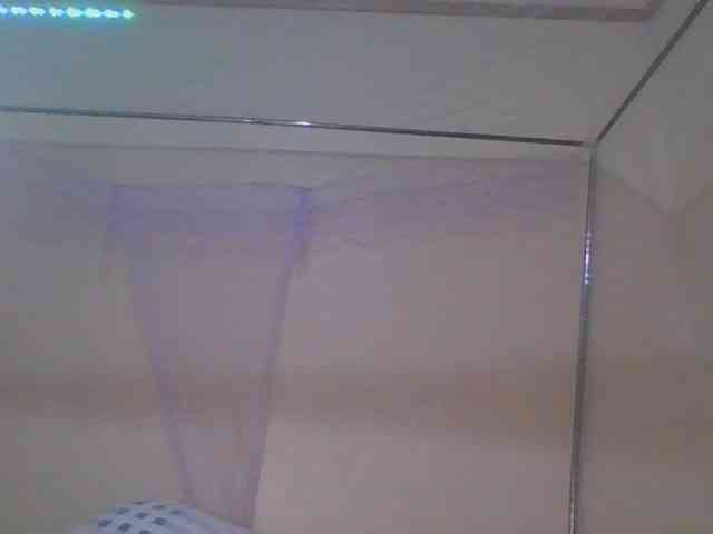 Busty-Barbie Busty-Barbie