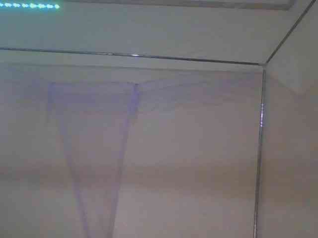 Busty-Barbie Busty-Barbie