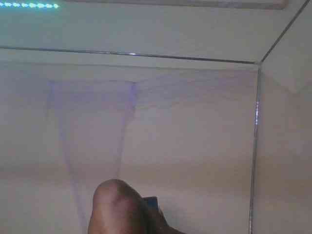 Busty-Barbie Busty-Barbie