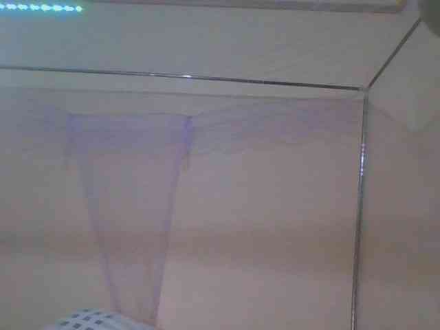 Busty-Barbie Busty-Barbie