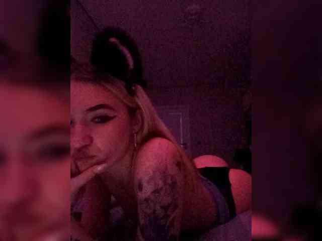 kristibiz webcam