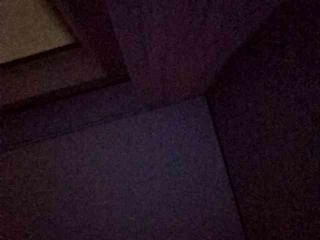 kristibiz webcam