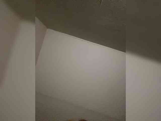 Annanxia Live Webcam on BongaCams