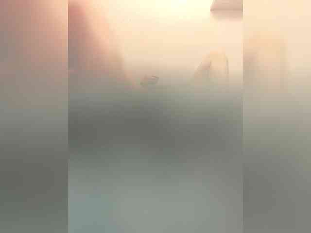 pararam124 pararam124