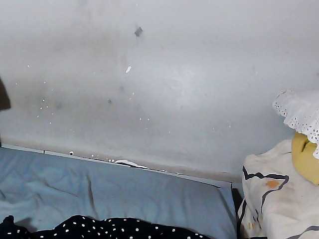 Elisa571's BongaCams show and profile